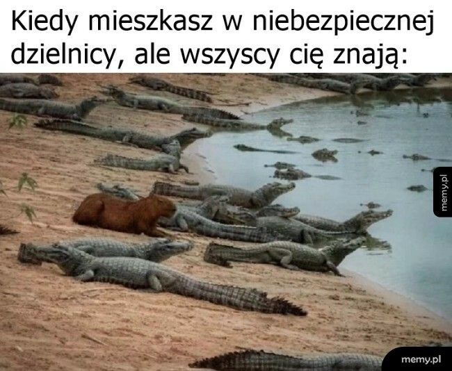 Można czuć się bezpiecznie