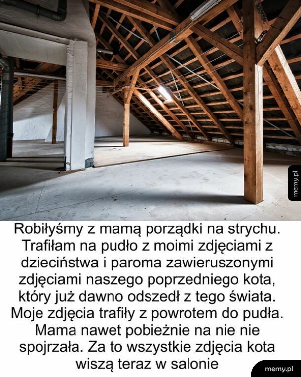 Ważne zdjęcia