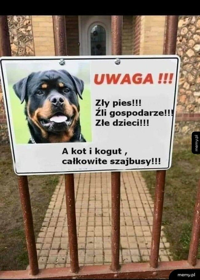 Świetne