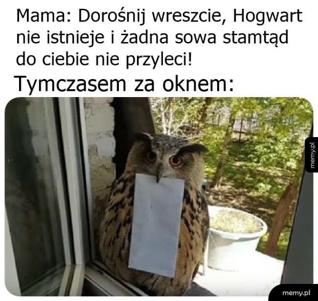 No nareszcie!