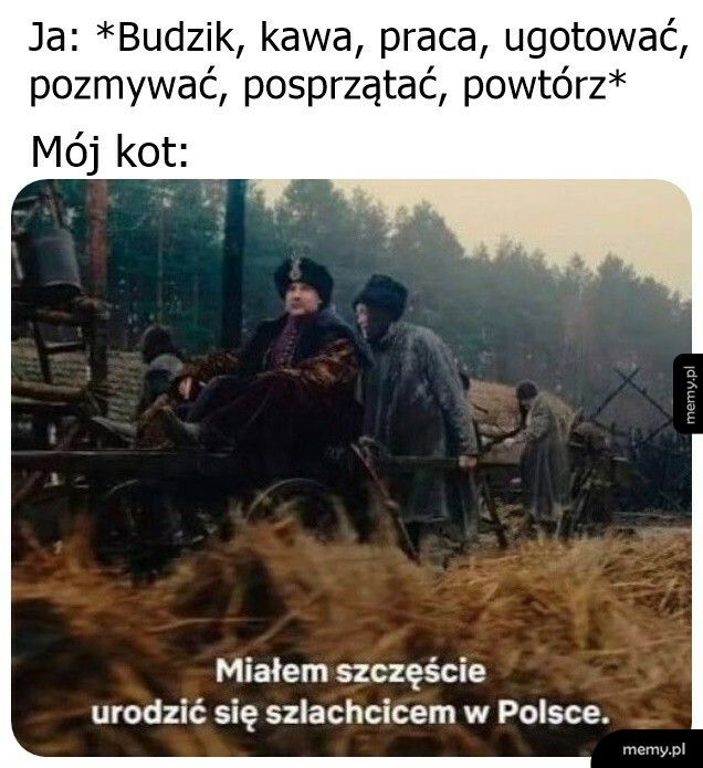 Zdecydowanie jest szczęściarzem