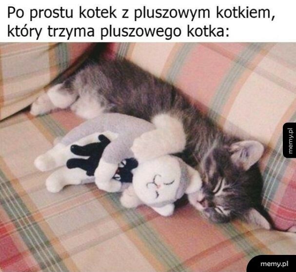 Kotek z kotkiem