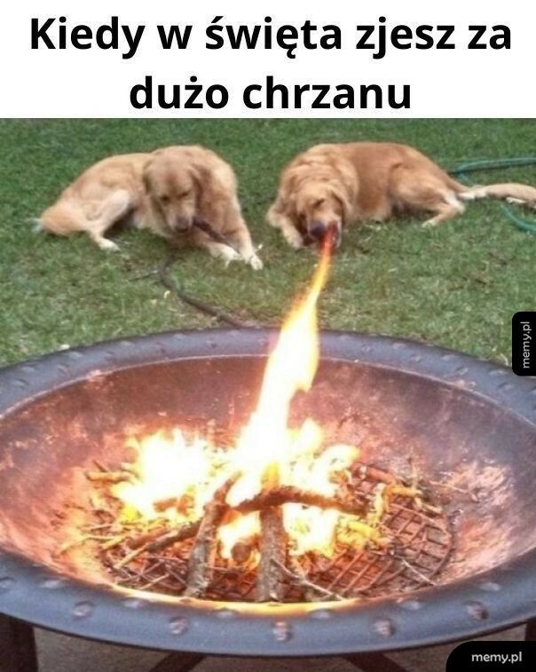 Chrzan