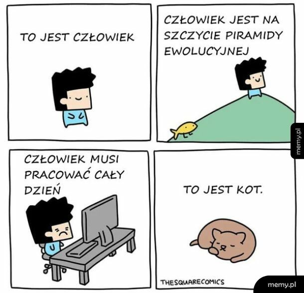 Piramida ewolucyjna