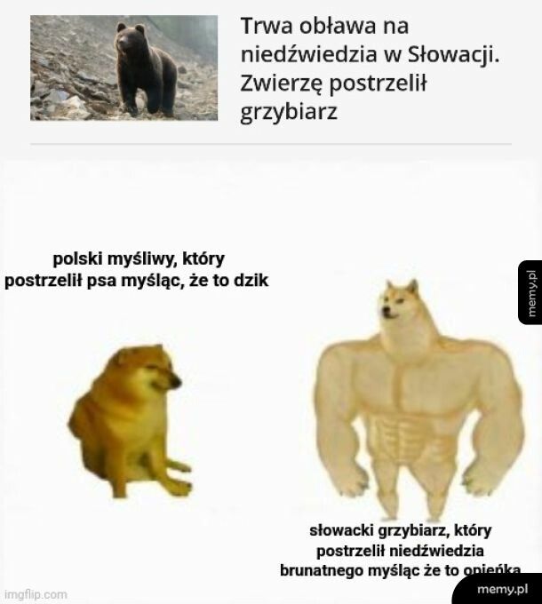 Łatwo się pomylić