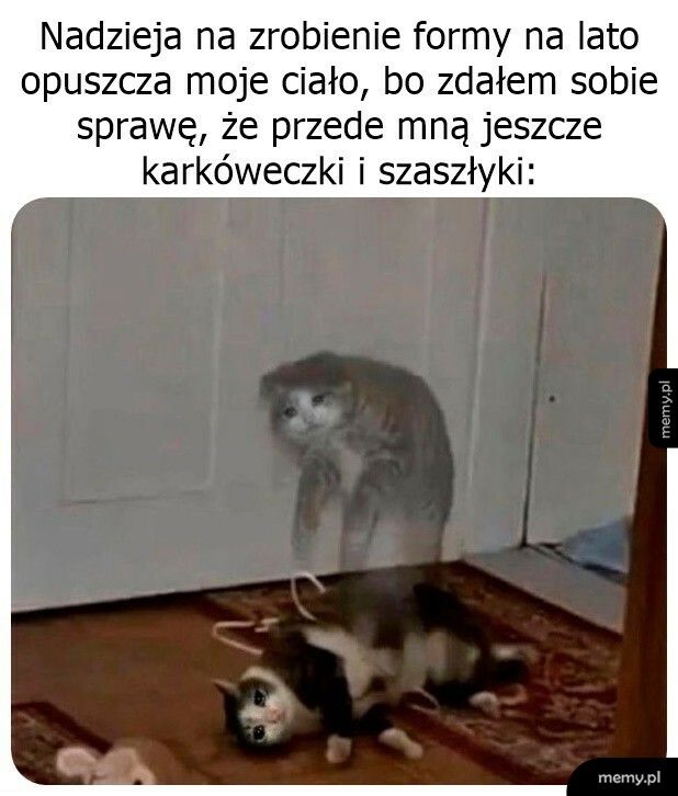 No nie ma szans