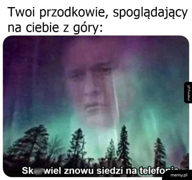 Znowu oceniają