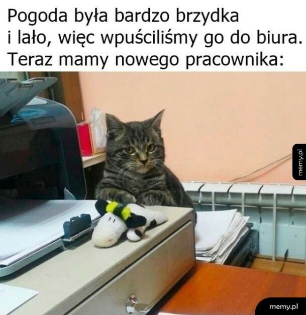 Nowy pracownik