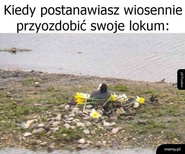 Wiosna we wnętrzach