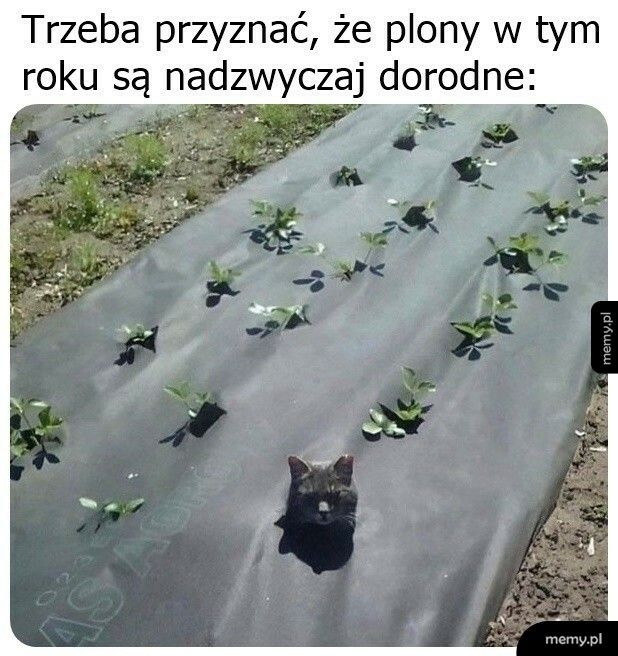 I nadzwyczajne