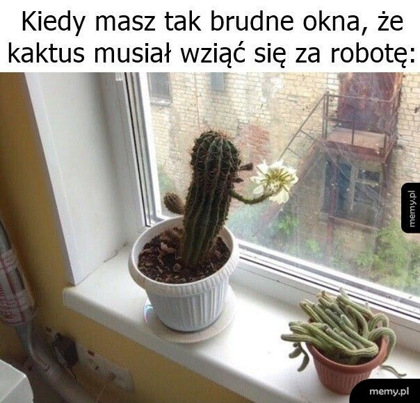 Brudne okna