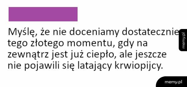 Złoty moment