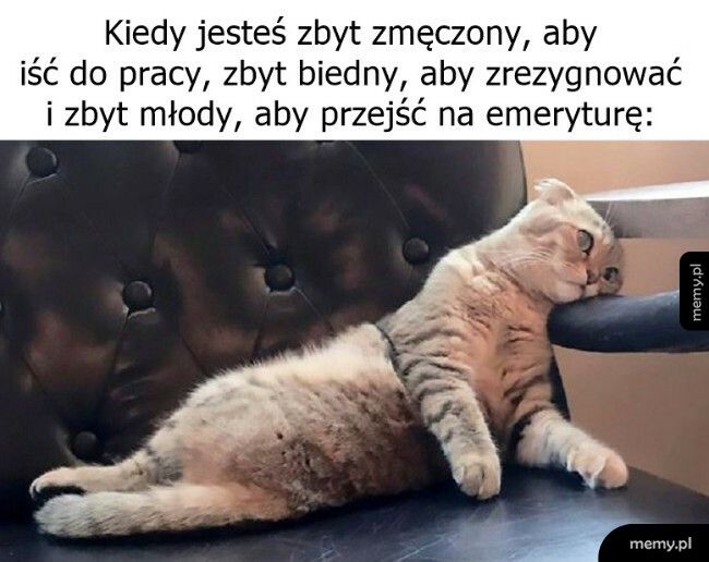 I tak to się żyje