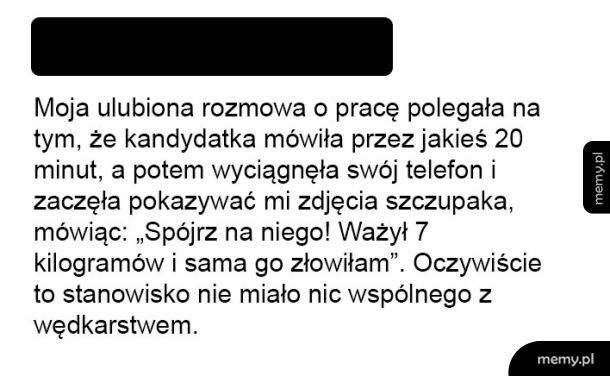 Rozmowa o pracę