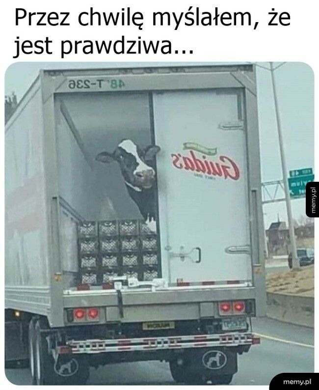 Na pierwszy rzut oka