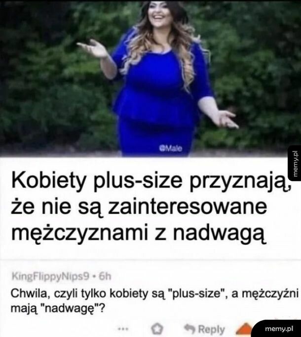 Faceci +size nie są zainteresowani kobietami +size. Piekło kobiet.