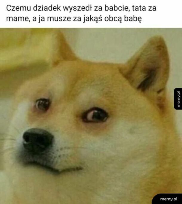 Jakiś obłęd