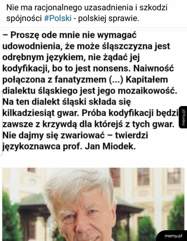 Śląski