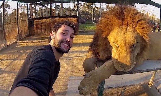 Najbardziej ekstremalne selfie w sieci. Rosja wypowiada im wojnę