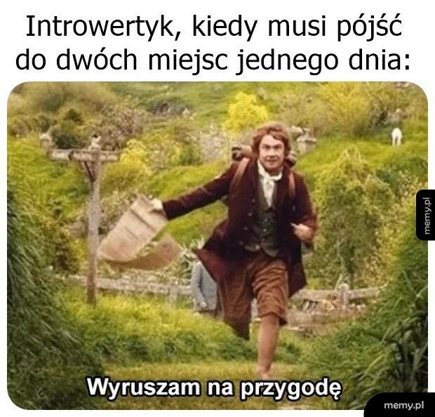 Introwertyk