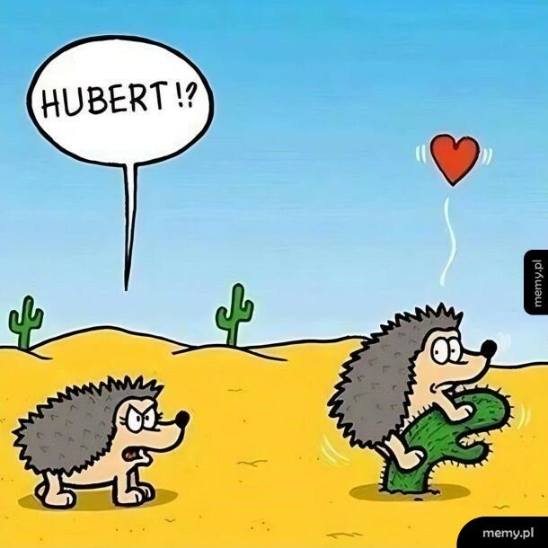 Co ten Hubert