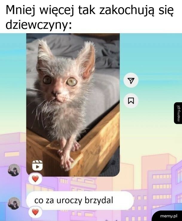 Jak zakochują się dziewczyny