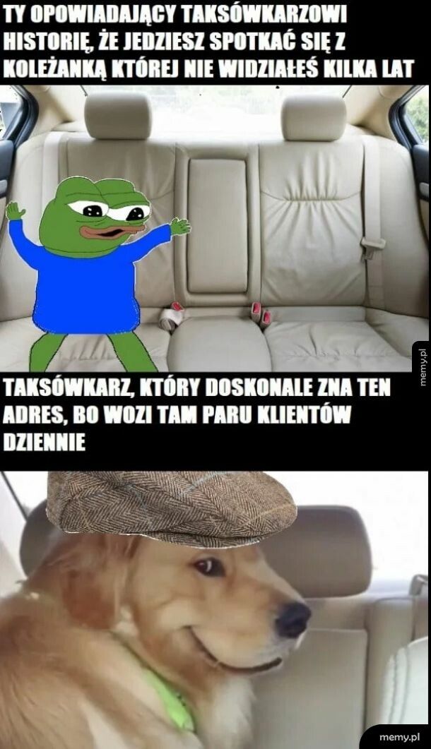 Koleżanka