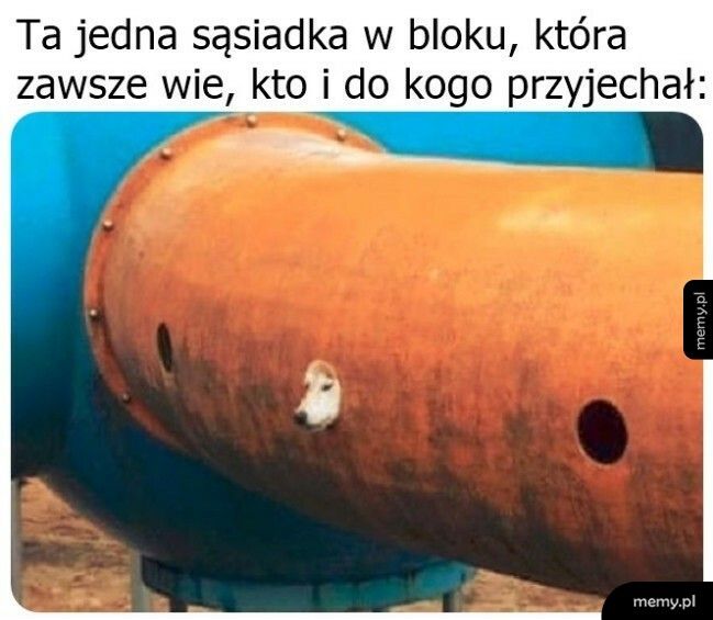 Ta jedna sąsiadka