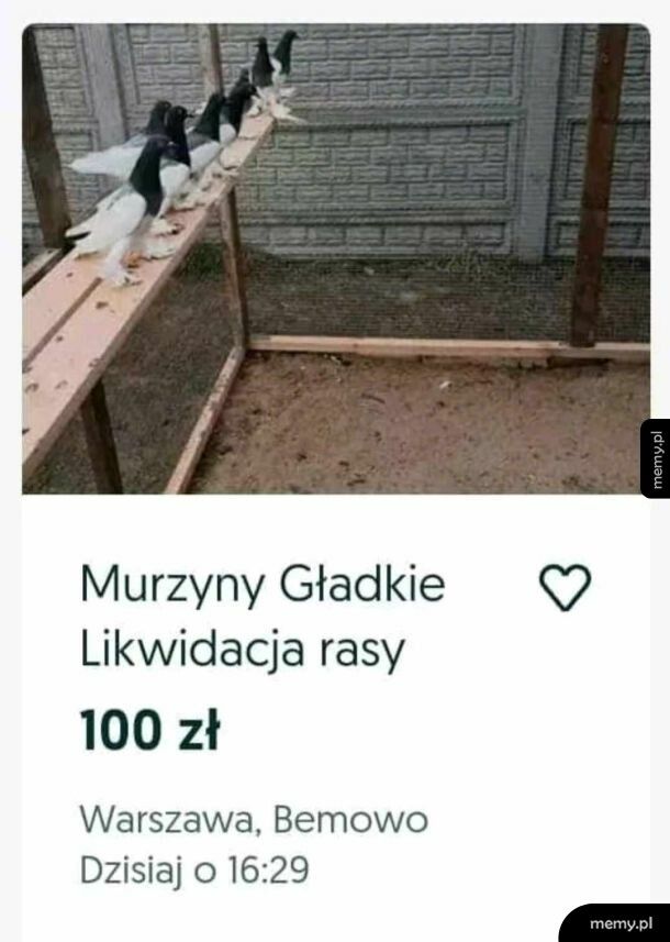 Likwidacja