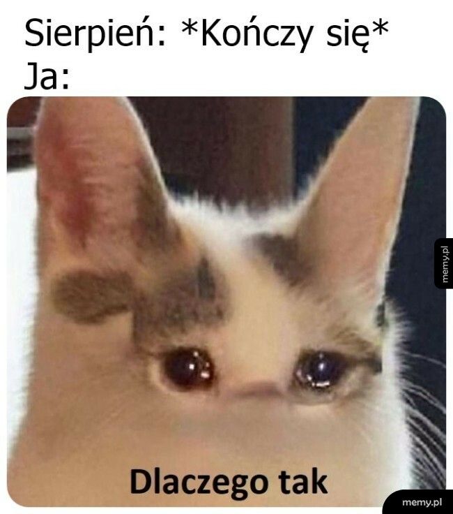 Coraz bliżej końca wakacji