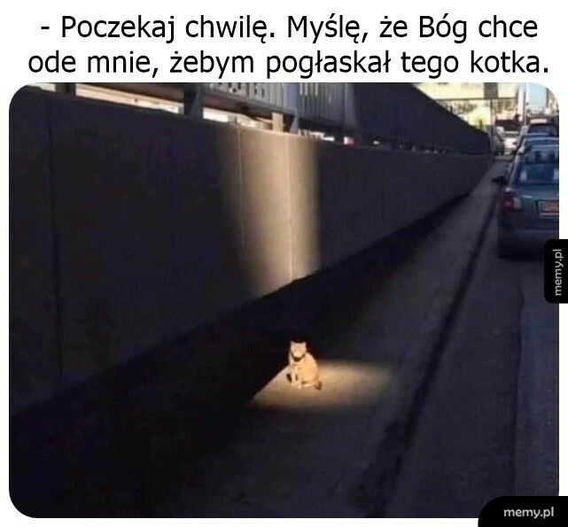 Wszelkie znaki na to wskazują