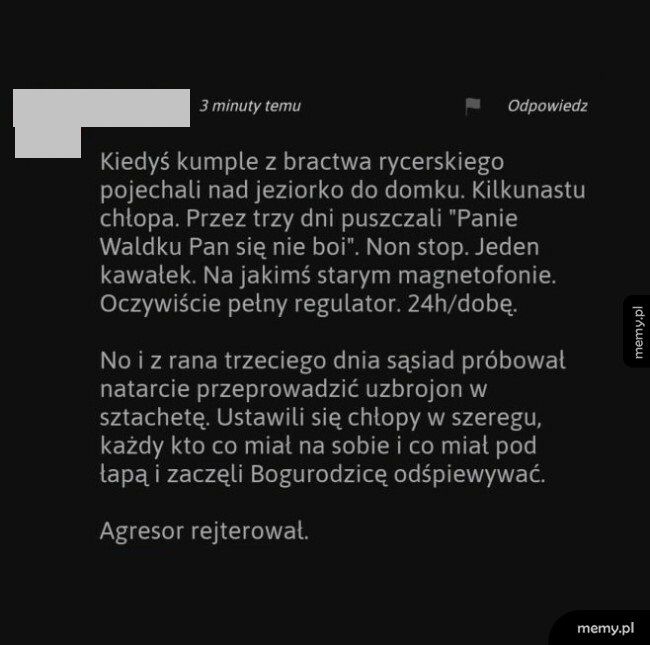 Kumple z bractwa rycerskiego