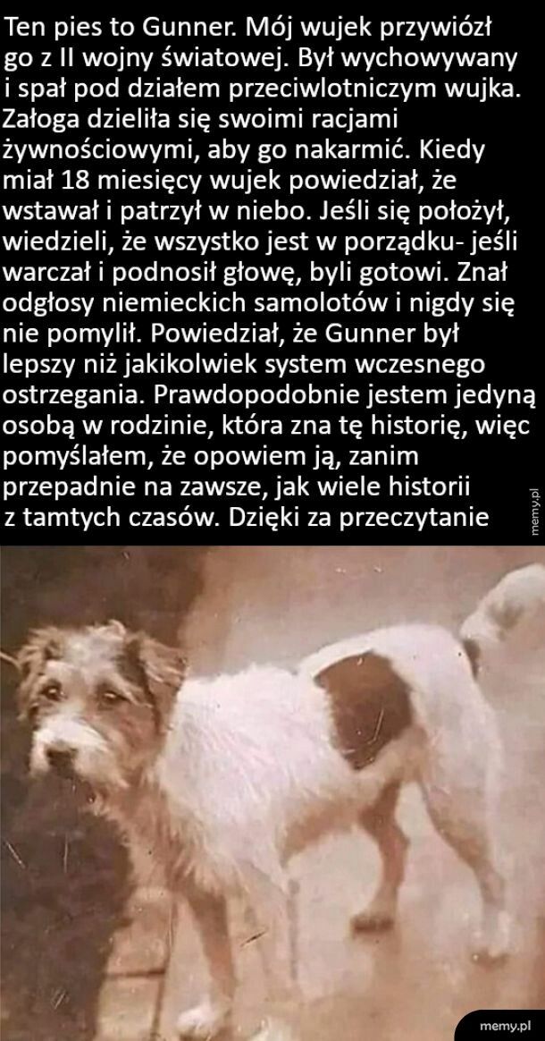 Historia warta przekazania dalej