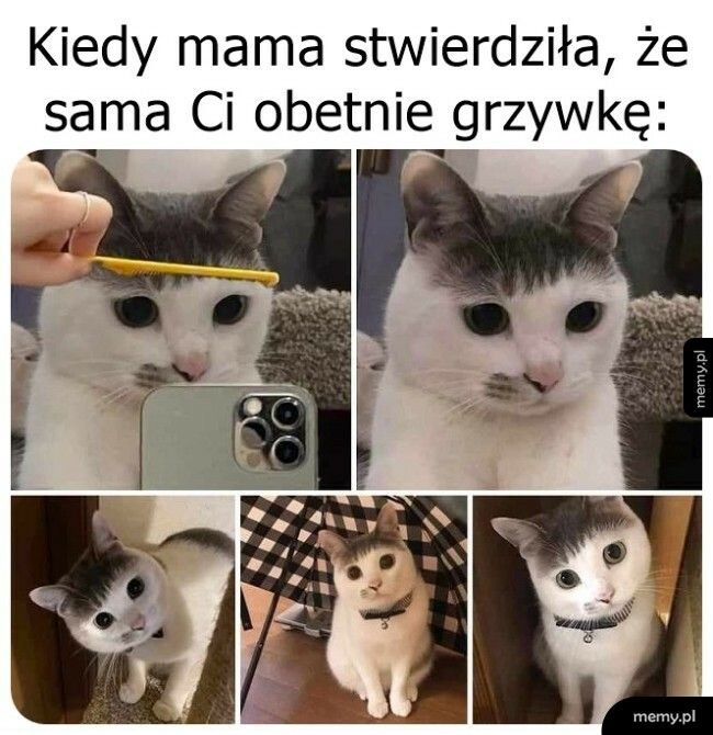 Na szczęście szybko odrośnie