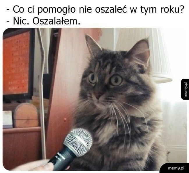 Nie ma takiej rzeczy