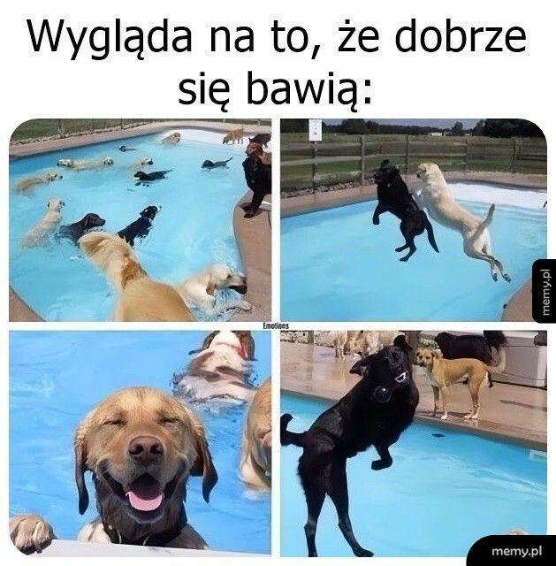 Dobra zabawa