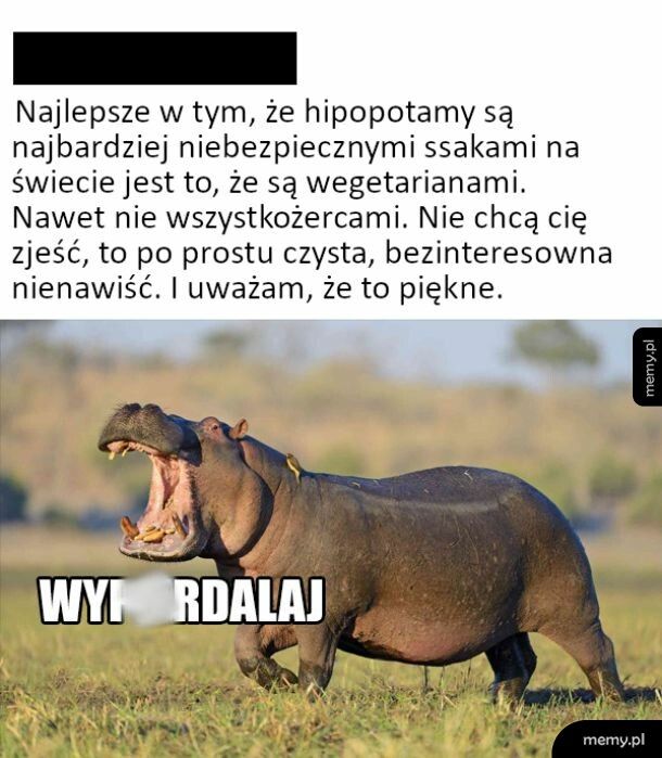 Uważam, że to jest piękne