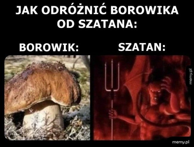 Bardzo proste