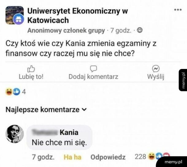 Egzaminy