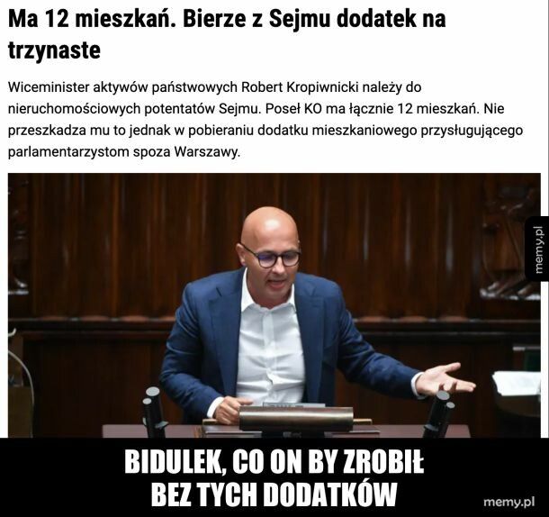 Bidulek