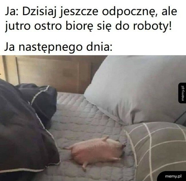 Jutro już na pewno wszystko zrobię