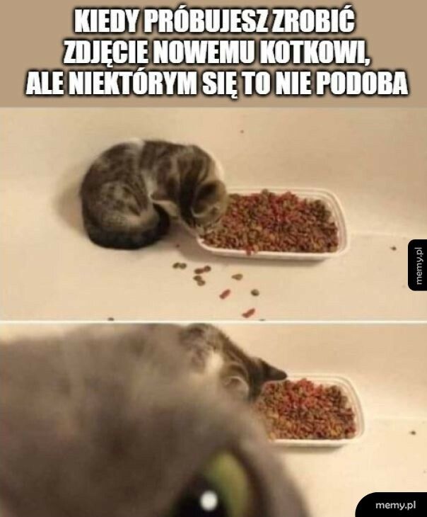 Niektórym to się nie podoba