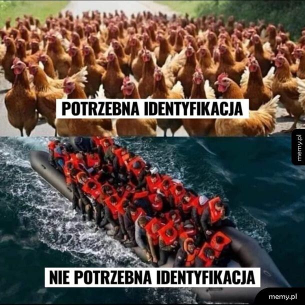 Identyfikacja