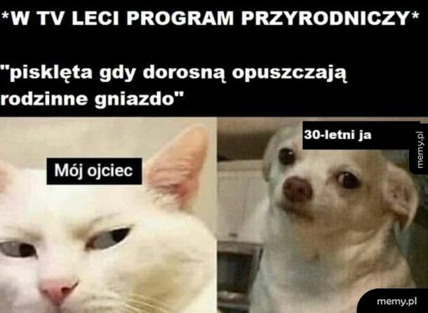 Program przyrodniczy