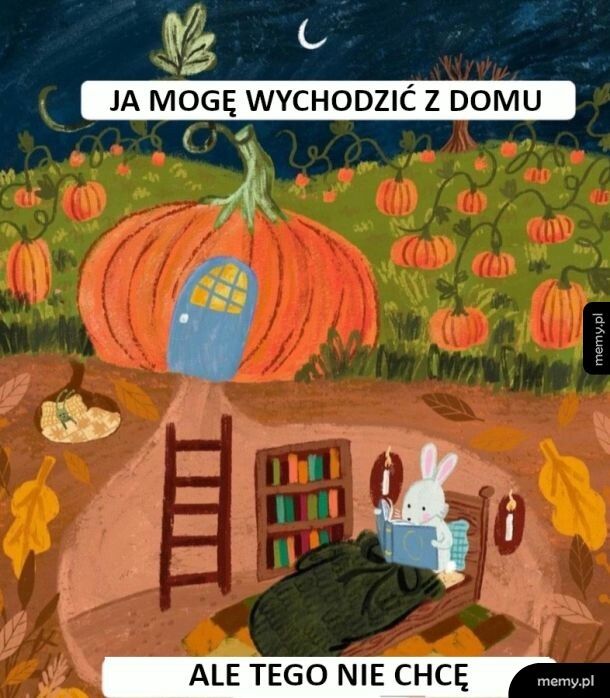 Wolę siedzieć w domu