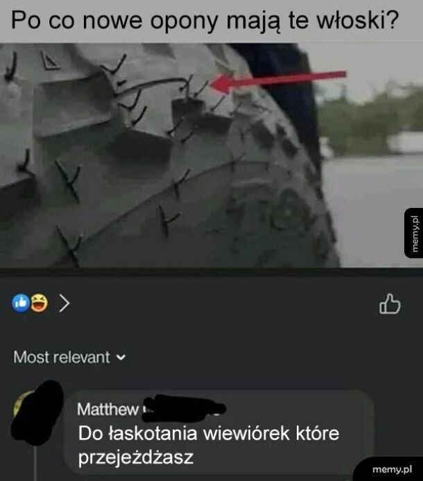 Włoski na oponach