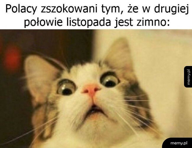 Szok i niedowierzanie