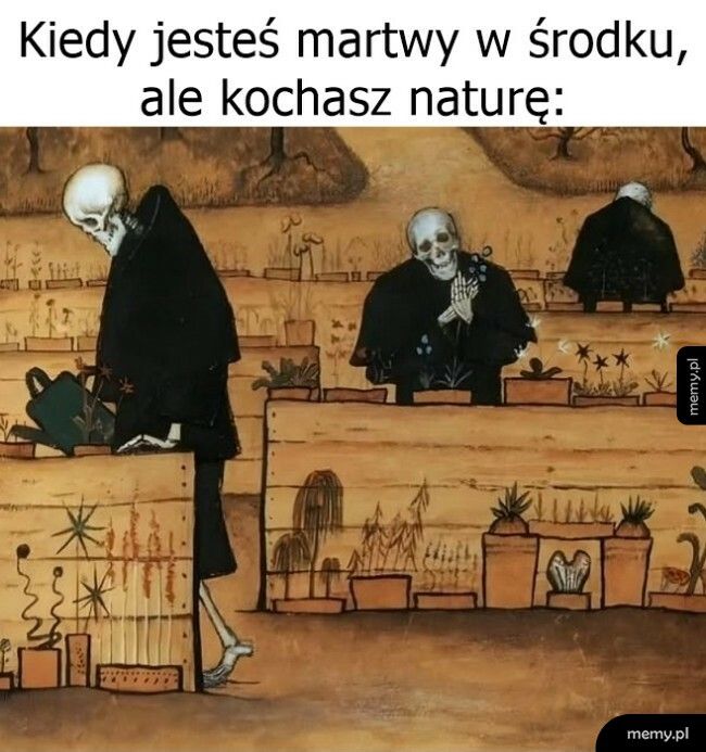 Martwy w środku