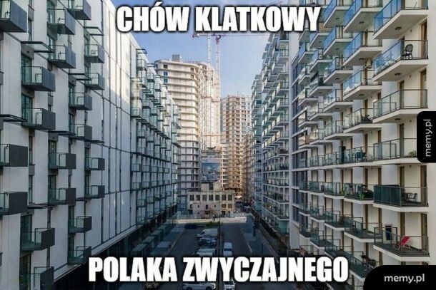 Chów klatkowy