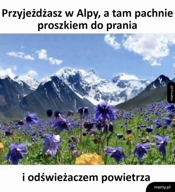 Pachnie jak w domu